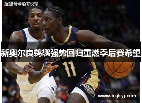 新奥尔良鹈鹕强势回归重燃季后赛希望