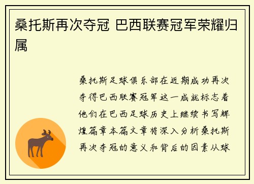 桑托斯再次夺冠 巴西联赛冠军荣耀归属